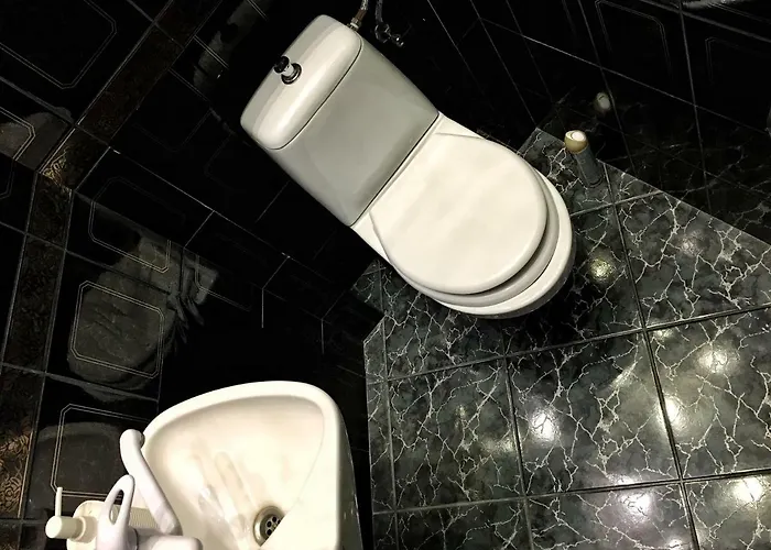 Friends Rustaveli Str Hostal Leópolis